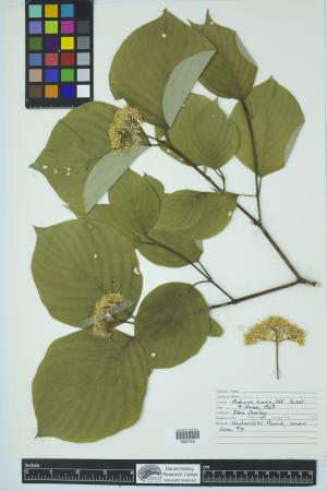 90097-Service File.jpg