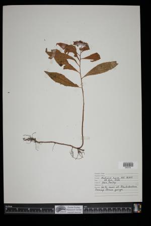 90104-Service File.jpg