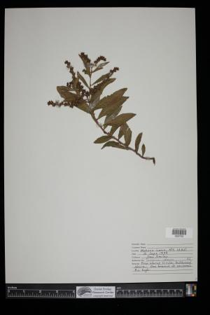 90106-Service File.jpg
