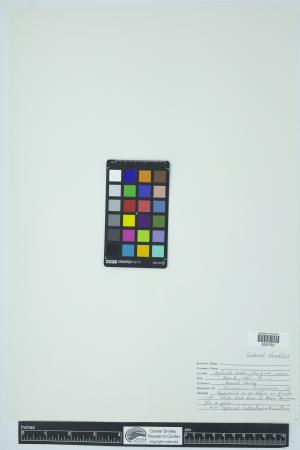 90115-Service File.jpg