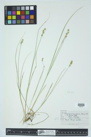 90123-Service File.jpg