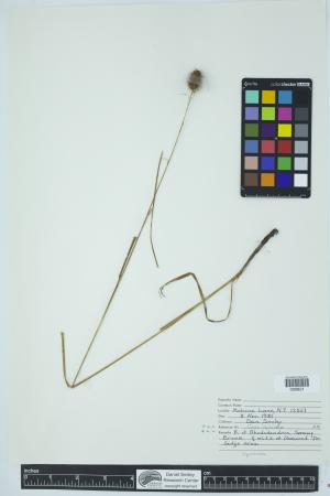 90174-Service File.jpg