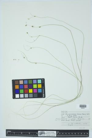 90184-Service File.jpg