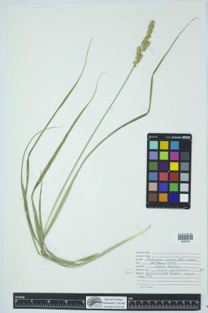 90187-Service File.jpg