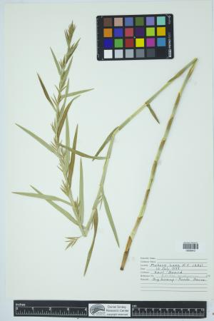 90196-Service File.jpg