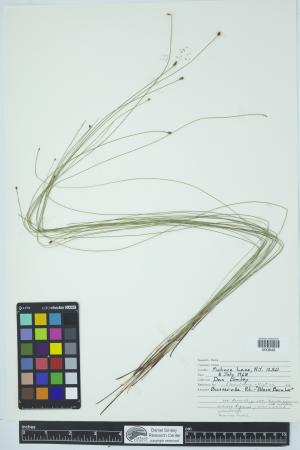 90202-Service File.jpg