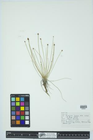 90207-Service File.jpg