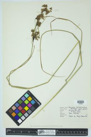 90218-Service File.jpg