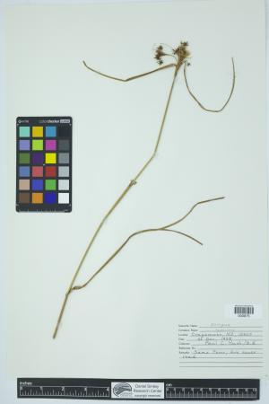 90227-Service File.jpg