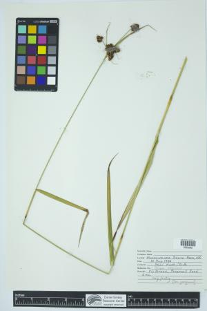 90232-Service File.jpg