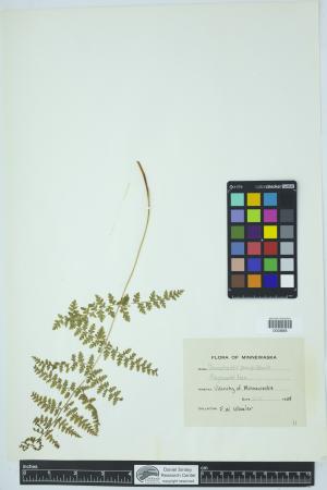 90240-Service File.jpg
