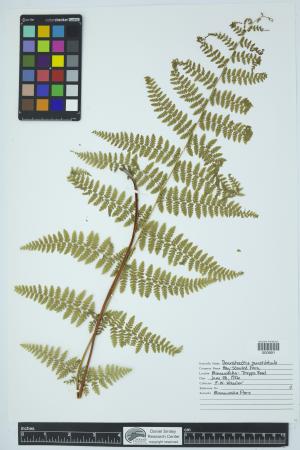 90243-Service File.jpg