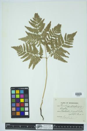 90249-Service File.jpg