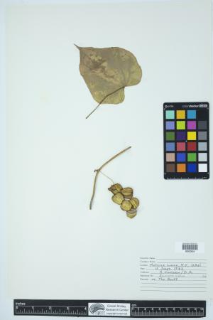 90254-Service File.jpg
