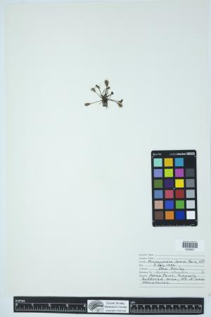 90257-Service File.jpg