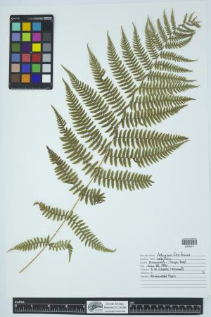 90263-Service File.jpg