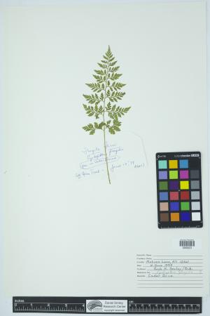 90272-Service File.jpg