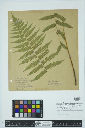 90275-Service File.jpg
