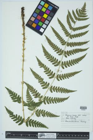 90278-Service File.jpg