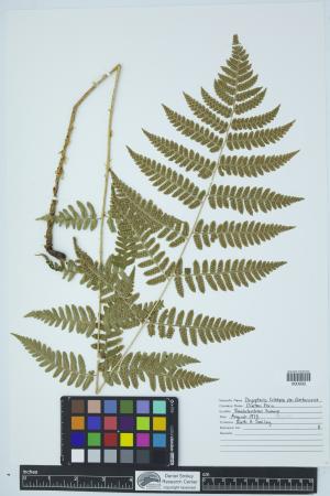 90280-Service File.jpg