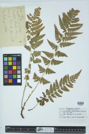 90281-Service File.jpg