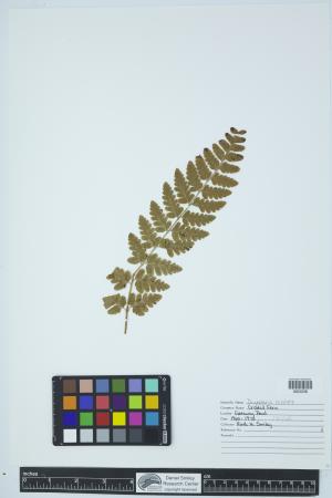90283-Service File.jpg