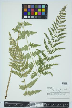 90284-Service File.jpg