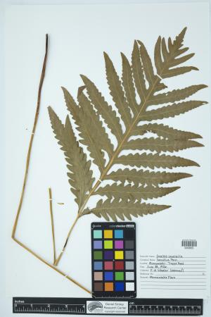 90302-Service File.jpg