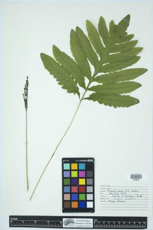 90305-Service File.jpg