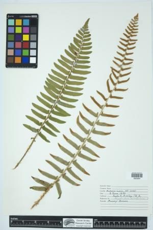 90311-Service File.jpg