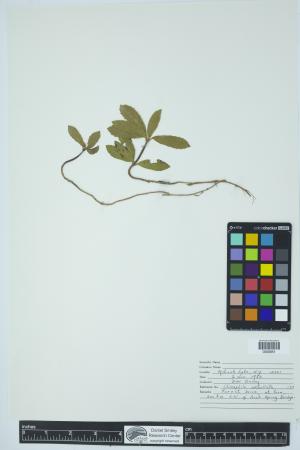 90327-Service File.jpg