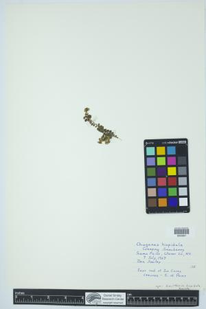 90331-Service File.jpg