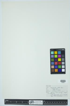 90332-Service File.jpg