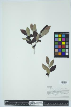 90340-Service File.jpg