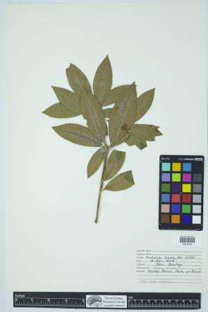 90349-Service File.jpg