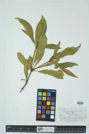 90350-Service File.jpg