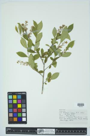 90354-Service File.jpg