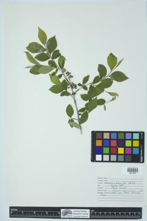 90355-Service File.jpg