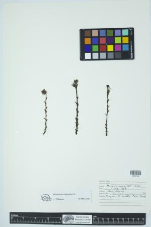 90356-Service File.jpg