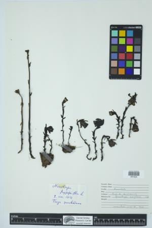 90361-Service File.jpg