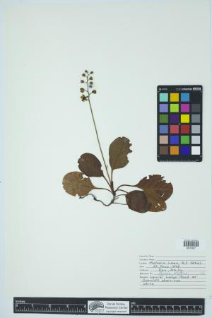 90364-Service File.jpg