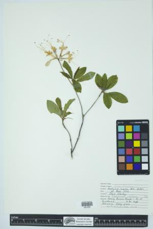 90371-Service File.jpg
