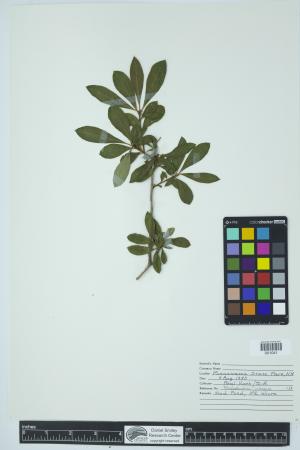 90377-Service File.jpg