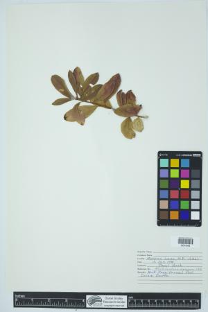 90379-Service File.jpg