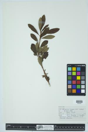 90380-Service File.jpg