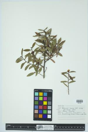 90396-Service File.jpg