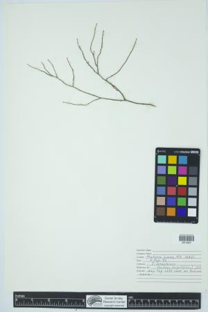 90400-Service File.jpg
