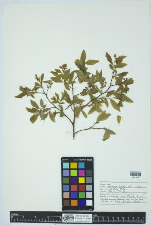 90410-Service File.jpg