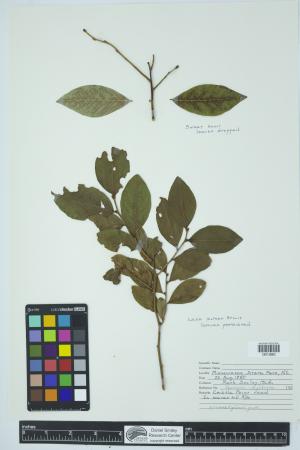 90411-Service File.jpg