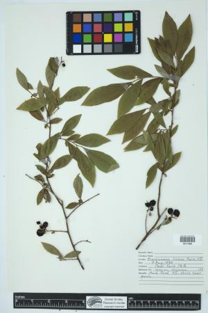90416-Service File.jpg